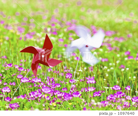 蓮華草とかざぐるま 1097640