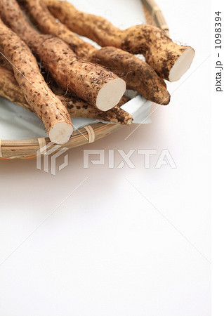 ザルに盛った土つき自然薯 1098394