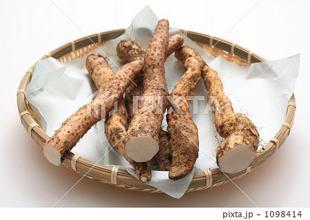 ザルに盛った土つき自然薯 1098414