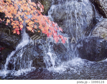 滝と紅葉 1099128