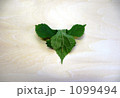 鼠 1099494