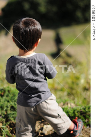 マサヤ マサヤ 1099957