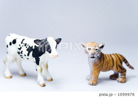 虎の子供と子牛のフィギュアの写真素材