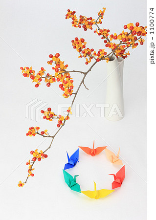 ツルウメモドキとコピースペース 1100774