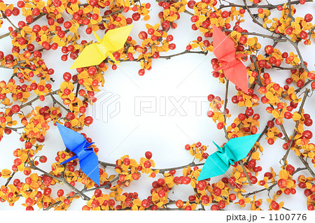 ツルウメモドキとコピースペース 1100776