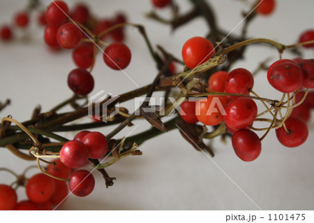 サンキライの実　リース 1101475