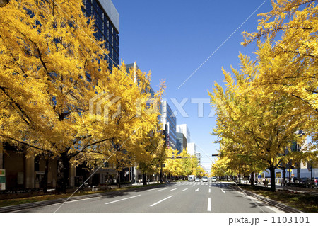 大阪御堂筋 1103101