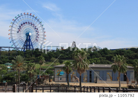 アドベンチャーワールドのサファリパークからの景色の写真素材