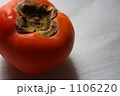 柿 1106220