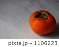 柿 1106223