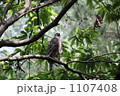 1107408