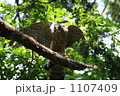 1107409