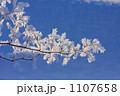 1107658