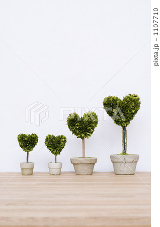 ハート型の観葉植物の写真素材