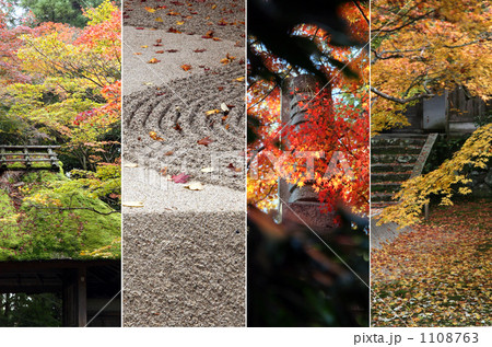 法然院の秋 1108763