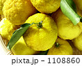 柚子 柚子 1108860