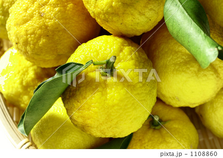 柚子 1108860