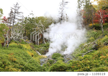 大雪高原沼ヤンベ温泉 大雪高原沼ヤンベ温泉 1109319