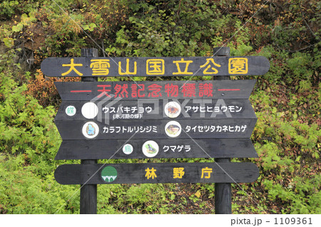 大雪山国立公園天然記念物標識の看板 1109361