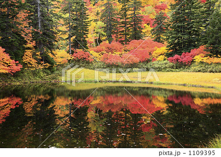 大雪高原沼の紅葉（滝見沼） 1109395