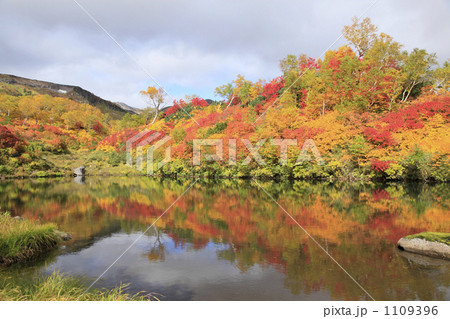 大雪高原沼の紅葉（式部沼） 1109396