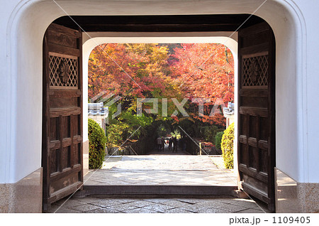 紅葉の興聖寺 紅葉の興聖寺 1109405