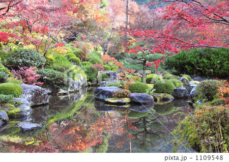 京都　三室戸寺 1109548