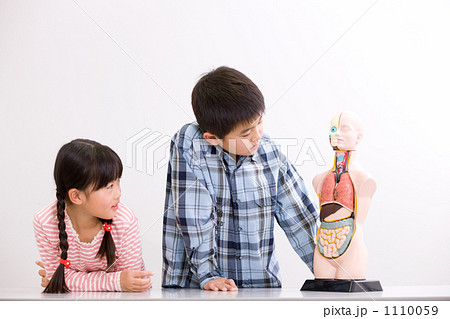 人体模型で学ぶ小学生 1110059