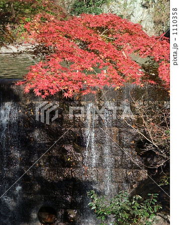 布引の滝と紅葉の写真素材