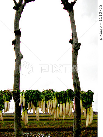 田舎の風景　 1110755