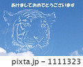 空虎_あけましておめでとうございます 1111323