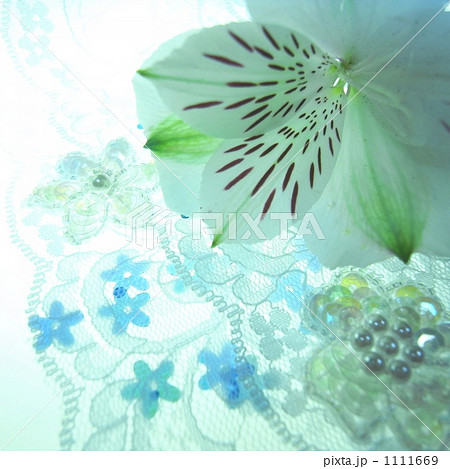 ウェディングイメージ 1111669