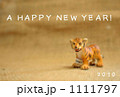 トラ１ 1111797
