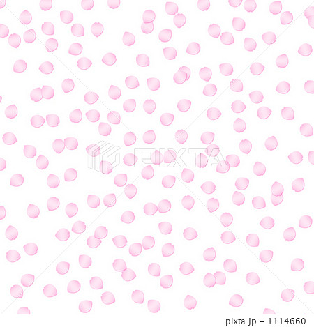 桜の花びら 白背景のイラスト素材