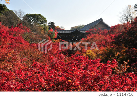京都　東福寺 1114716