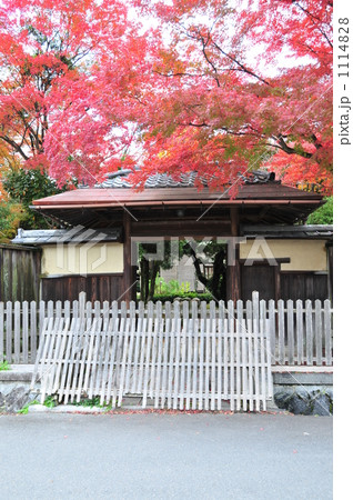 京都　白沙村荘 1114828