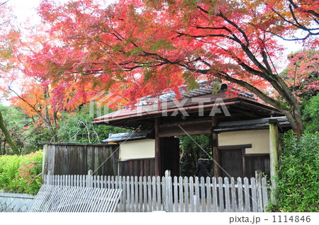京都 白沙村荘 京都 白沙村荘 1114846