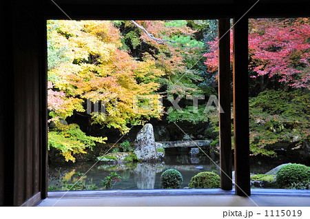 京都　蓮華寺 1115019