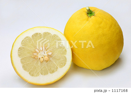 四季成りレモン 1117168