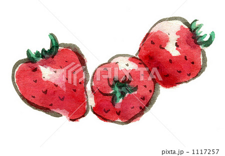 墨絵のイチゴ 1117257