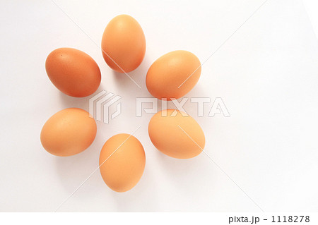 赤卵６個01 1118278