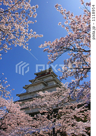 春の鶴ヶ城 春の鶴ヶ城 1118954