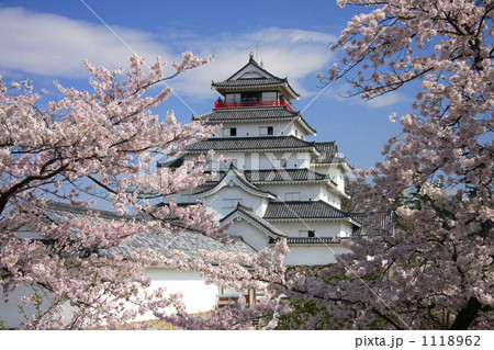 春の鶴ヶ城 1118962