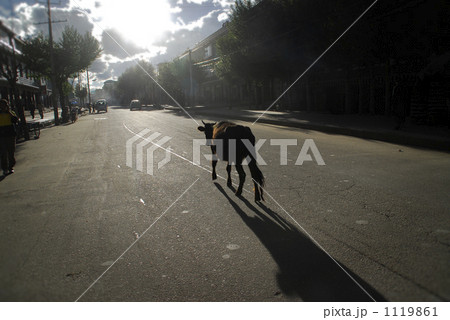 希望へ向かって 希望へ向かって 1119861