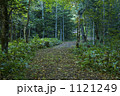 森を通る道 1121249