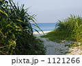 ビーチに続く道 1121266
