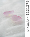 レースの上のバラの花びら 1121279