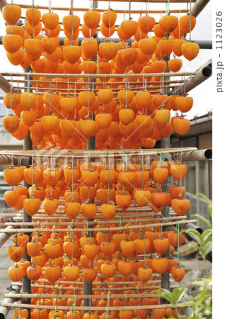 干し柿作り 干し柿作り 1123026