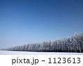 風雪林 1123613