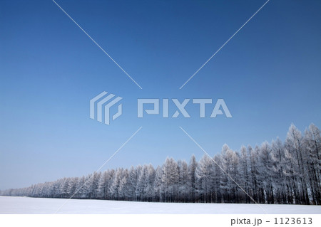 風雪林 風雪林 1123613